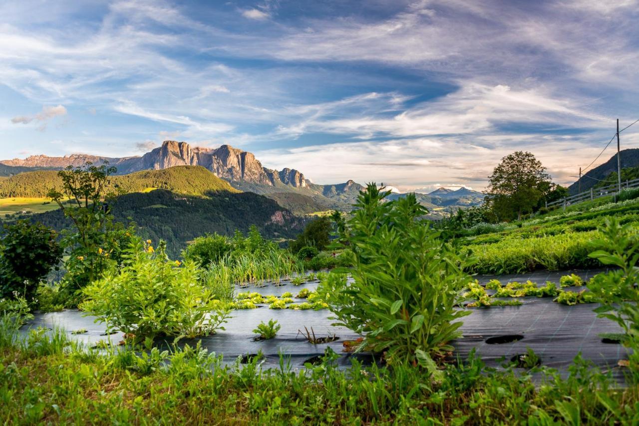 Oberpalwitterhof * Barbiano (Trentino Alto Adige)